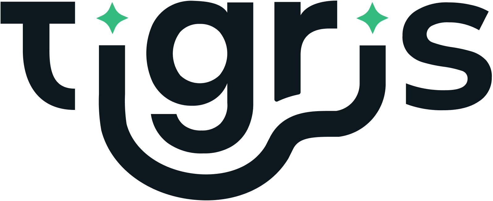 Tigris Data Logo